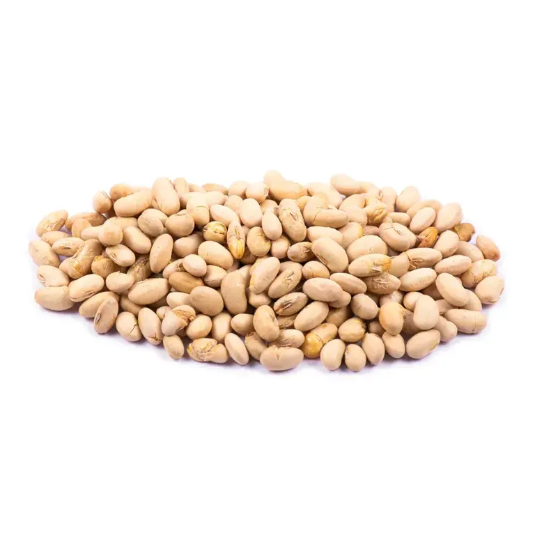 سویا آجیلی بو داده