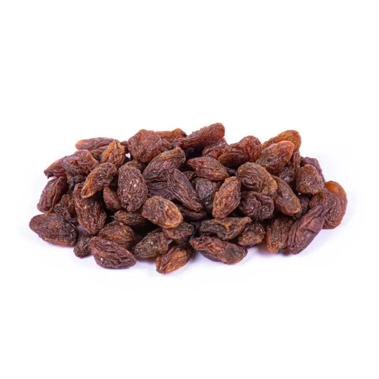 مویز فخری شیرازی