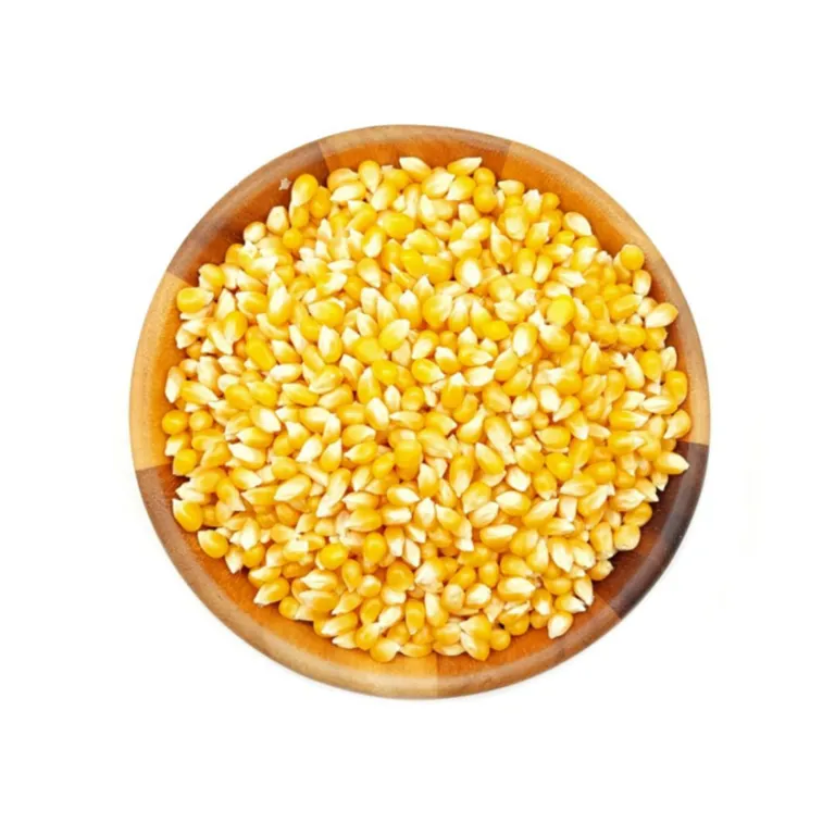 دانه ذرت خام