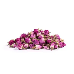 غنچه گل سرخ