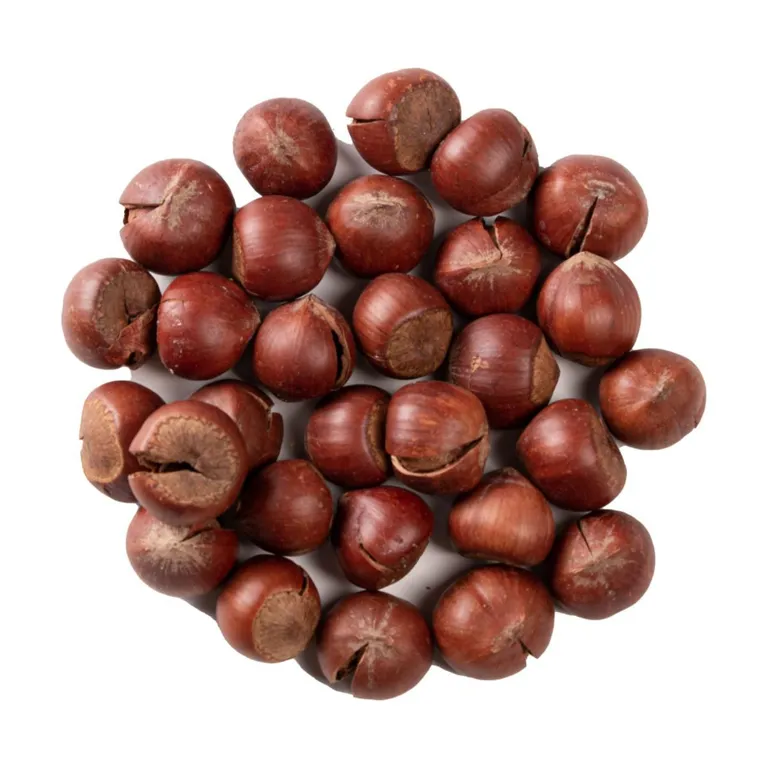 فندق با پوست شور