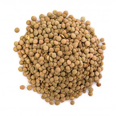 عدس سبز درشت