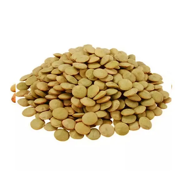 عدس سبز ریز