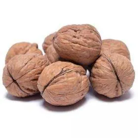 گردو وارداتی با پوست
